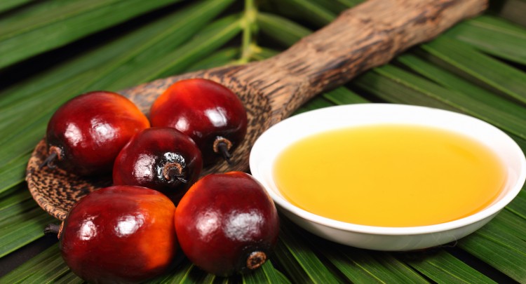 ¿De verdad es tan perjudicial el aceite de palma?